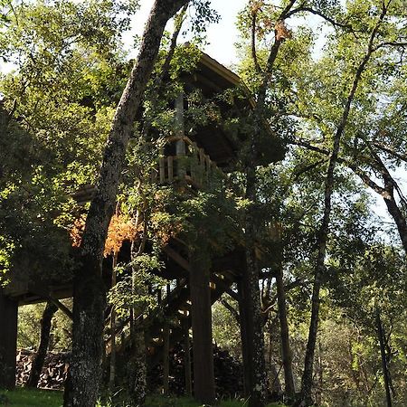 Los Nidos De Santa Maria Arroyo Frio Buitenkant foto