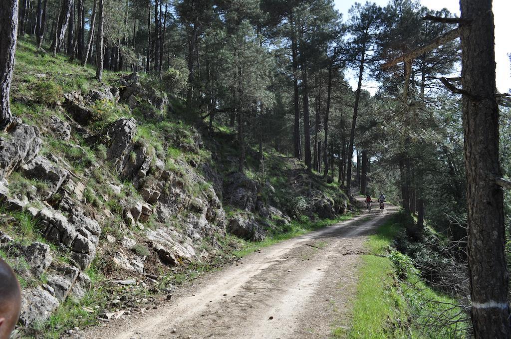 Los Nidos De Santa Maria Arroyo Frio Buitenkant foto
