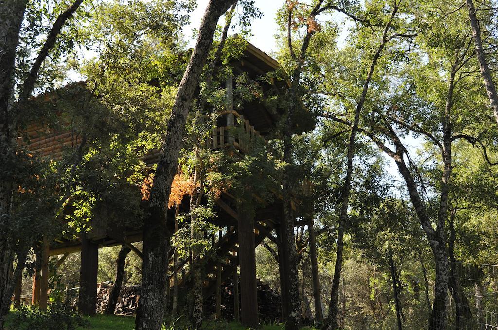 Los Nidos De Santa Maria Arroyo Frio Buitenkant foto