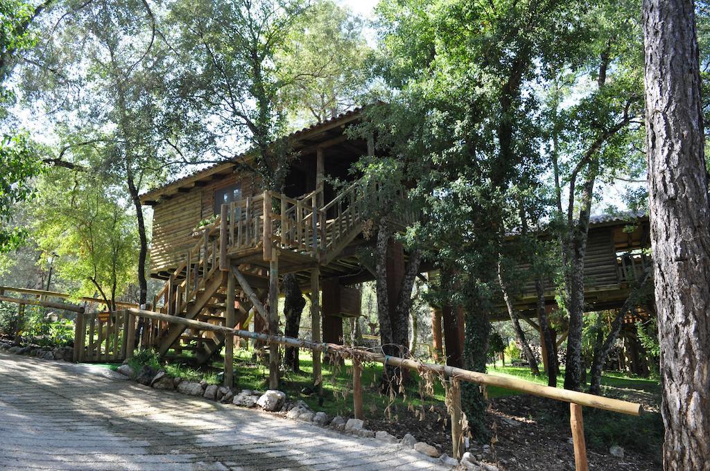 Los Nidos De Santa Maria Arroyo Frio Buitenkant foto